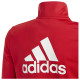 Adidas Παιδικές φόρμες σετ Essentials Big Logo Track Suit